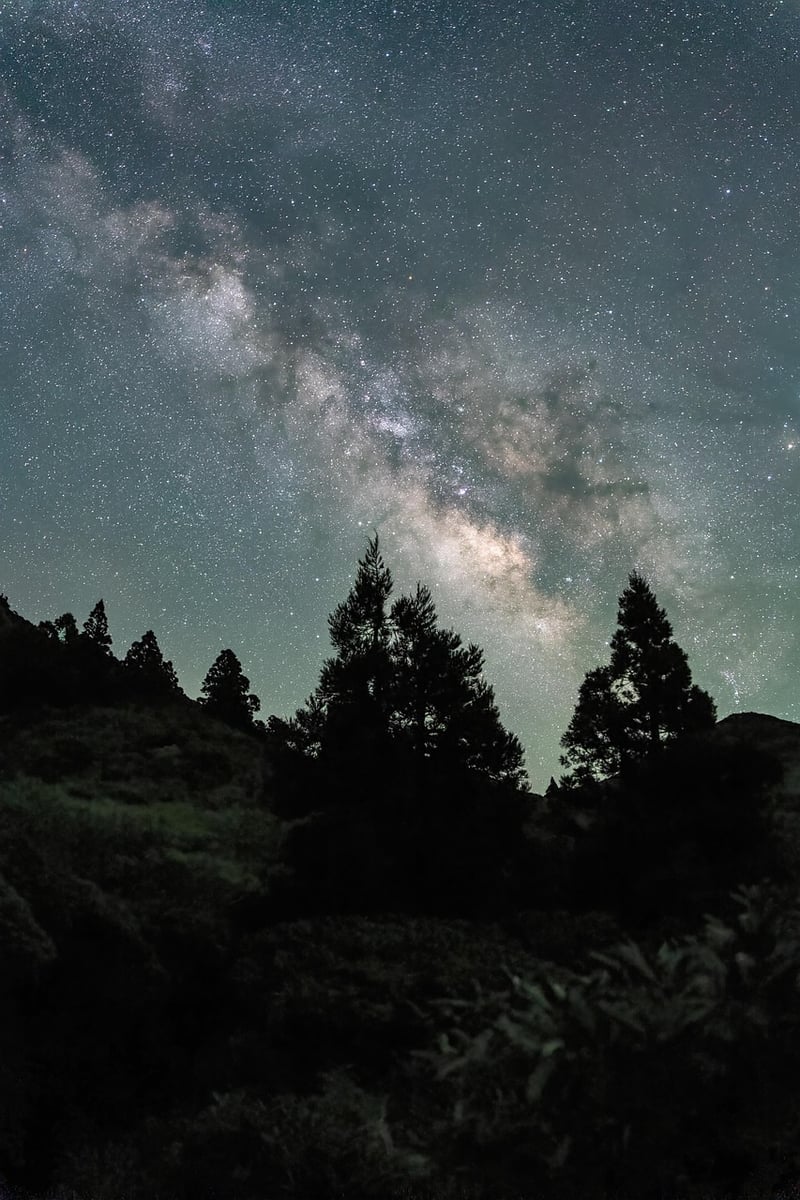 Starry Night at Lakeside Lodge